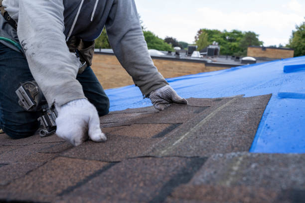 Best Storm Damage Roof Repair  in Concord, MO