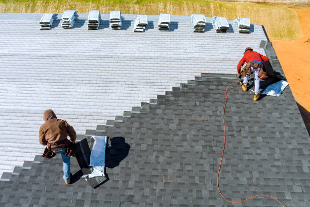 Best Metal Roofing Contractor  in Concord, MO