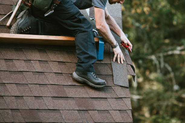 Best Roof Gutter Cleaning  in Concord, MO